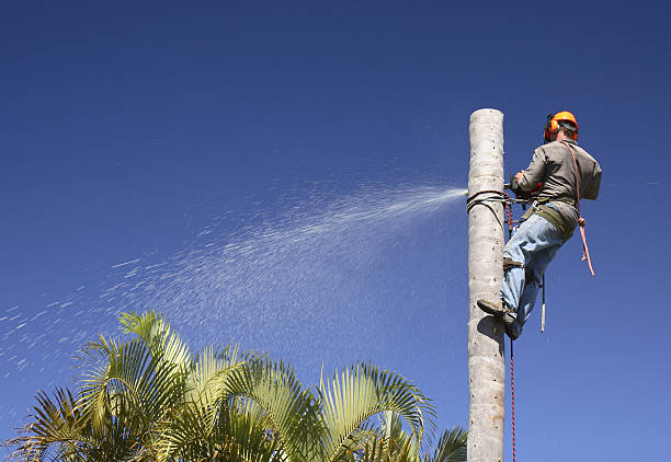 Mulching Services in Lake Goodwin, WA